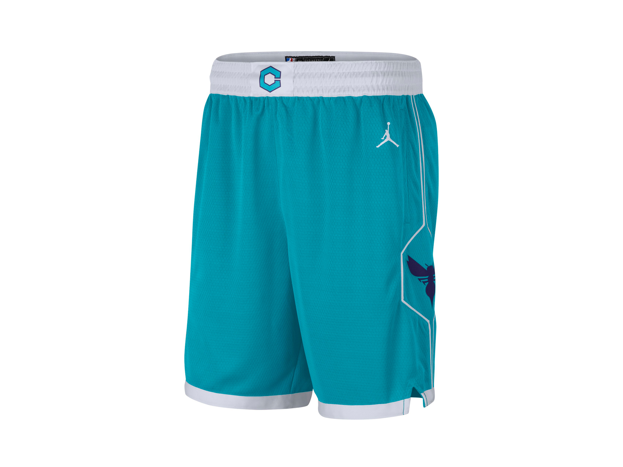 Jordan Charlotte Hornets NBA Icon Edition 2020 Swingman Shorts