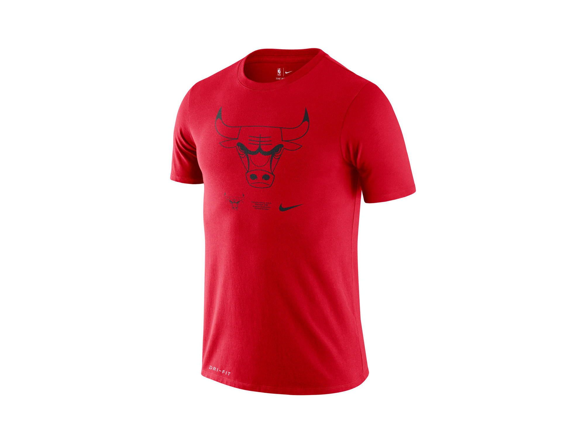 Nike NBA Chicago Bulls Logo T-Shirt