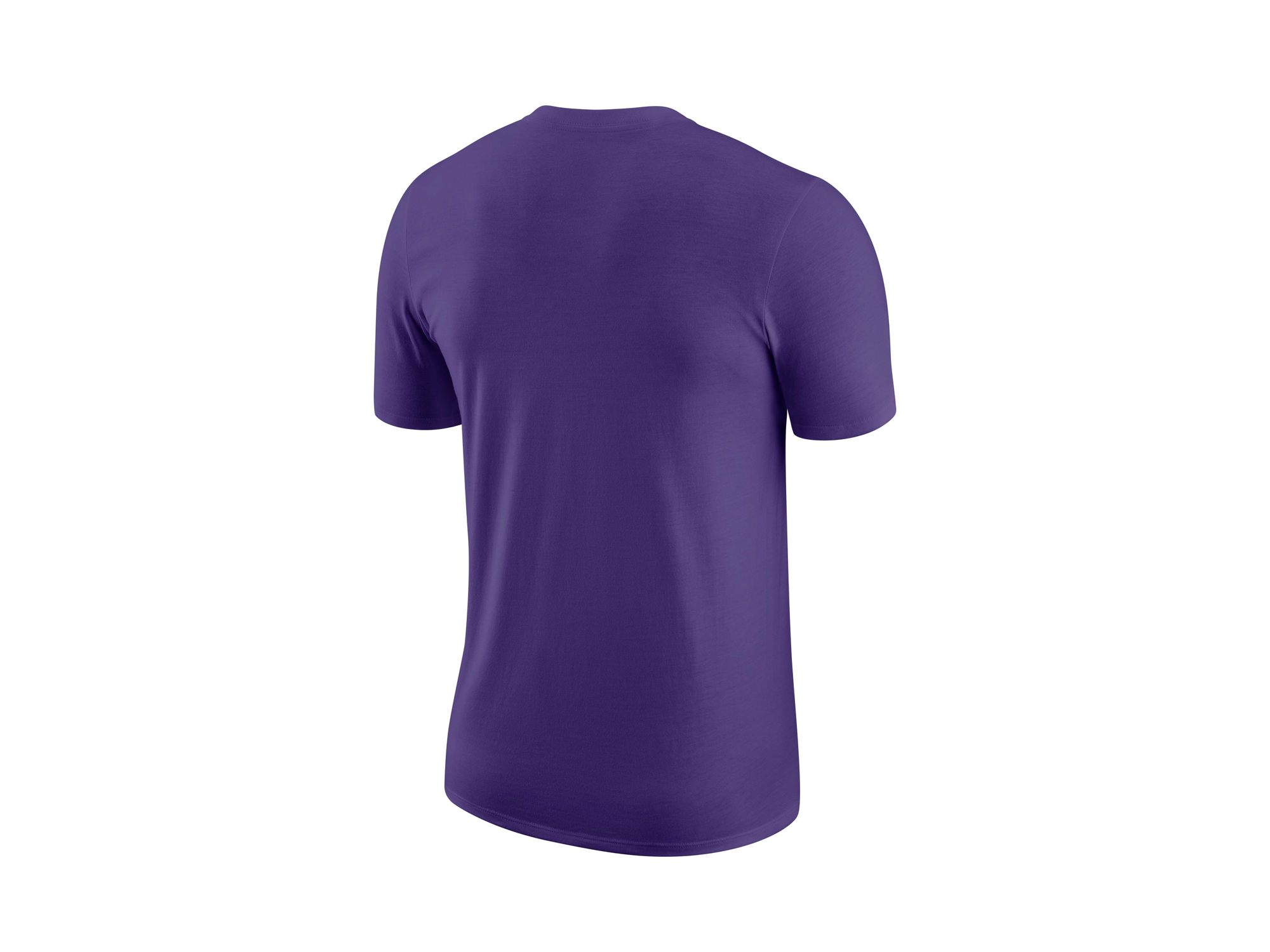 Nike Los Angeles Lakers NBA Essential Earned Logo T-Shirt