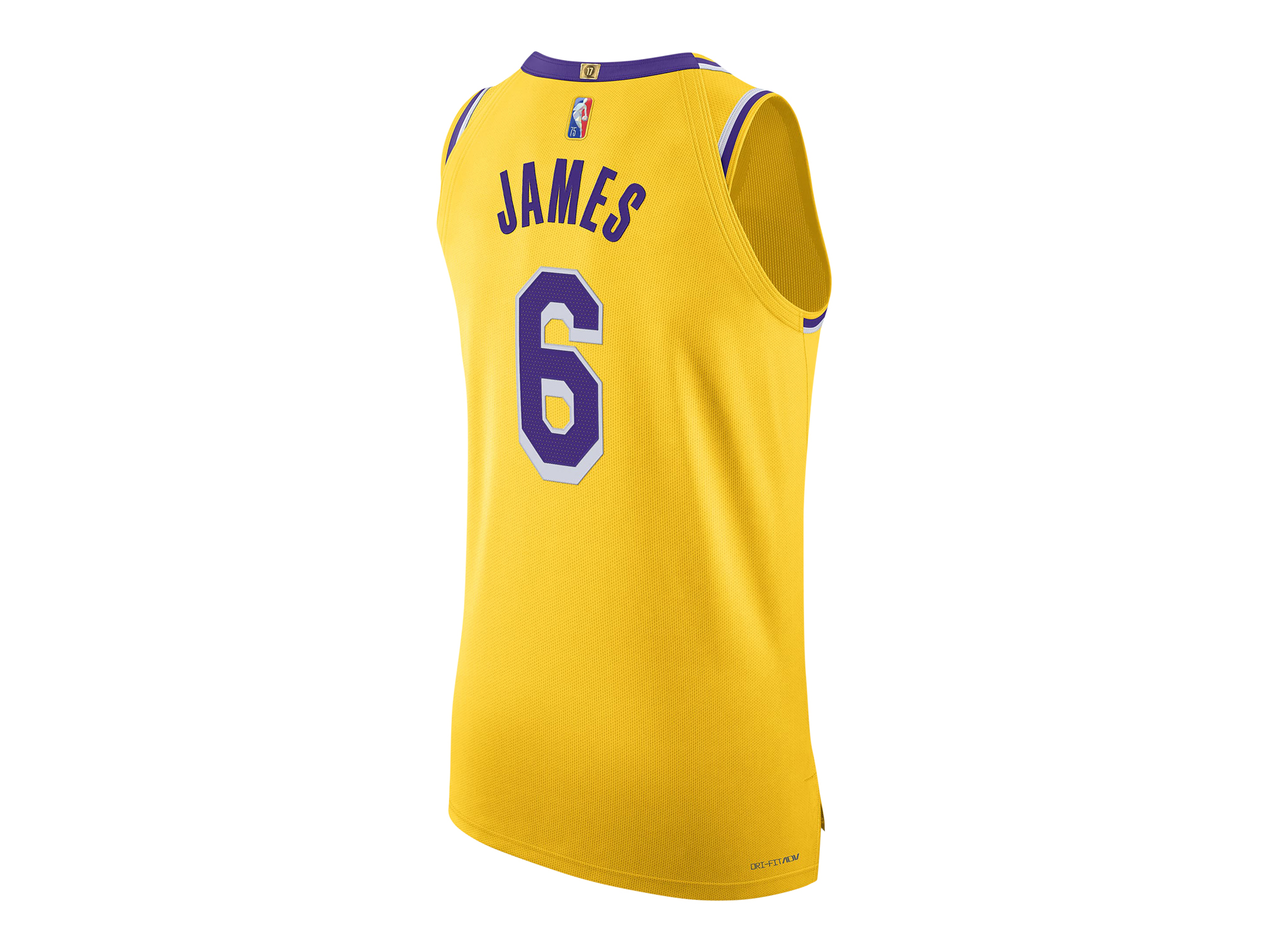 Nike Lebron James Icon Edition Authentic Jersey 