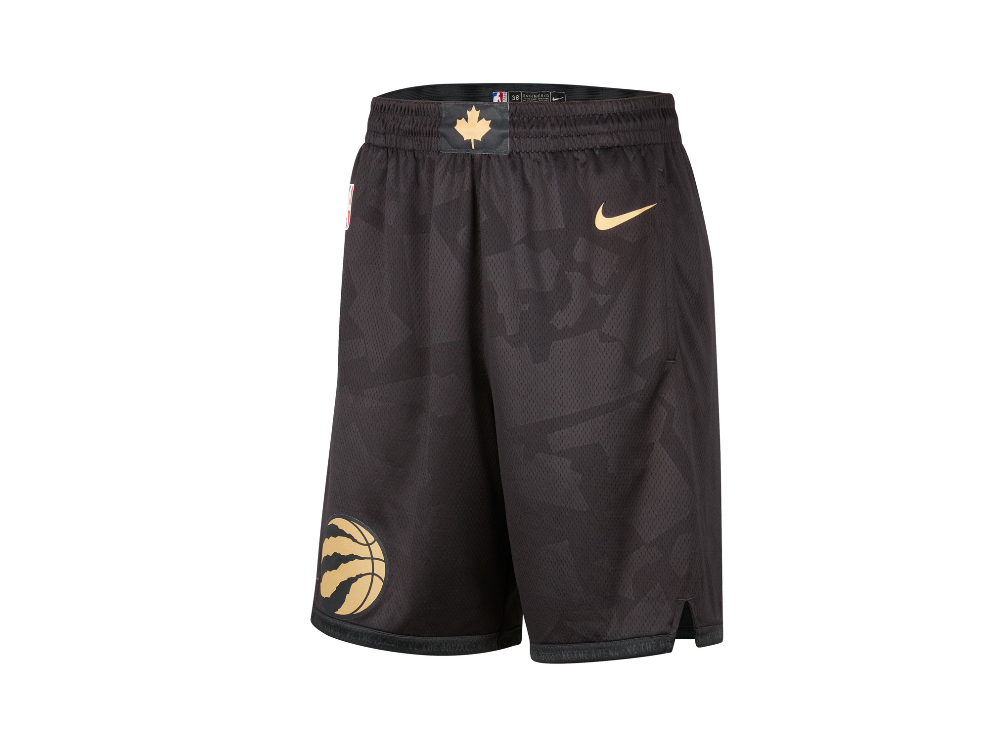 Nike NBA Toronto Raptors City Edition Swingman Shorts
