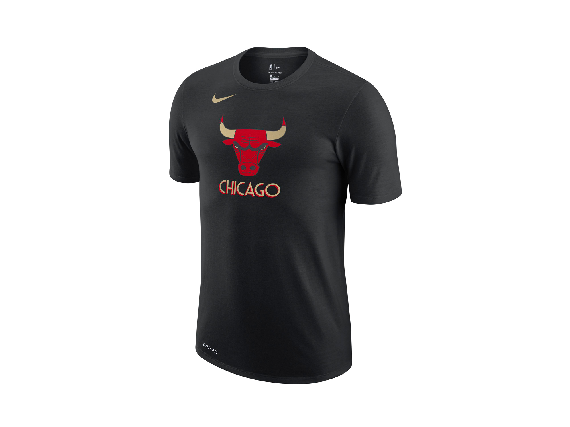 Nike Chicago Bulls NBA City Edition Logo T-Shirt